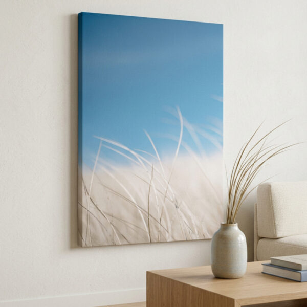quadro minimalista natureza com ceu azul e gramineas